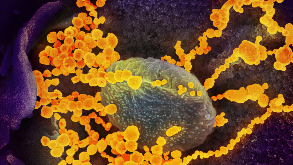 الصحة العالمية تحذر من عودة جائحة كورونا 