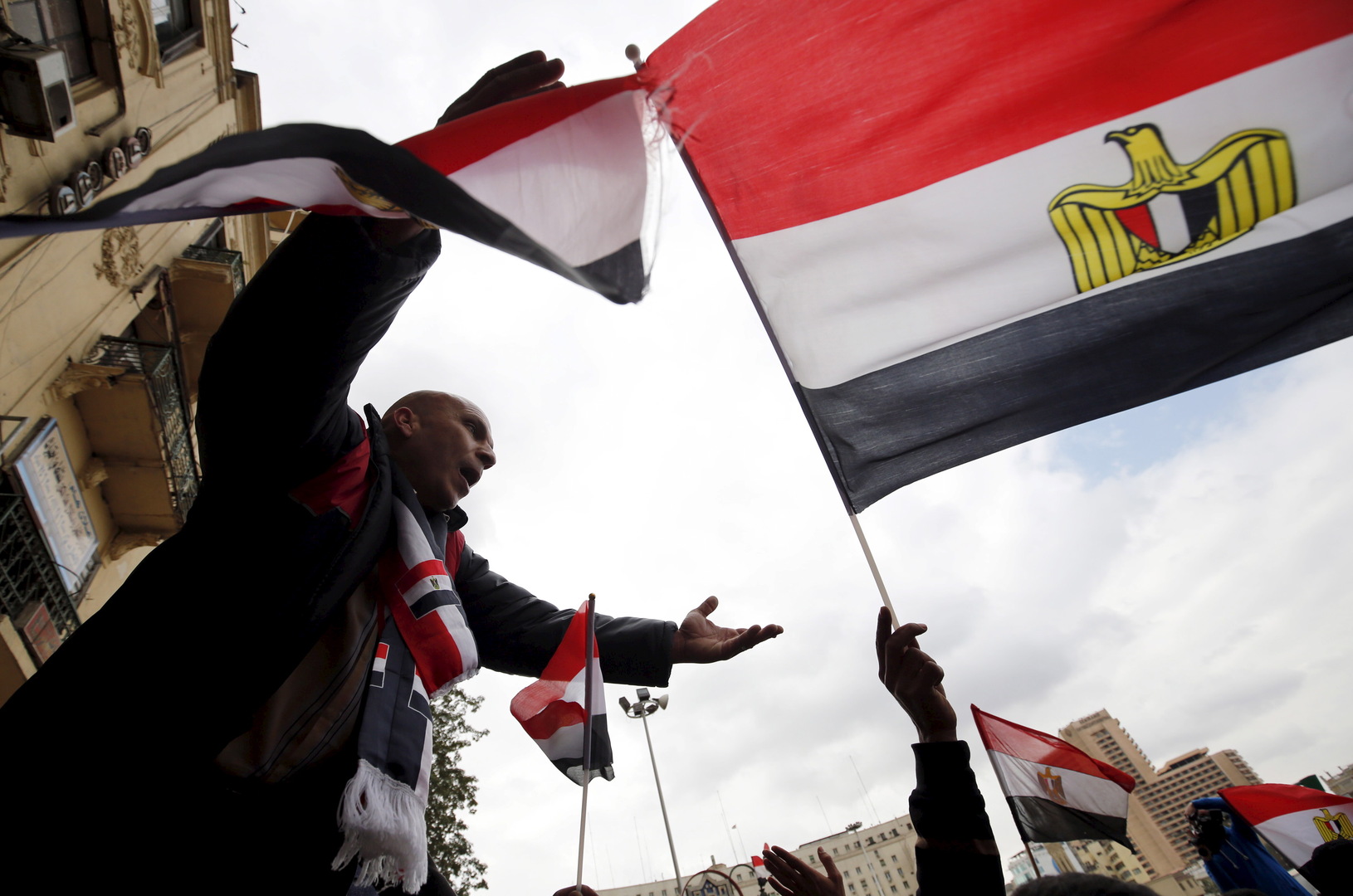 مصر تعلن عن إجراءات استباقية عاجلة لمنع هجمات أسراب الجراد الصحراوي على الحدود