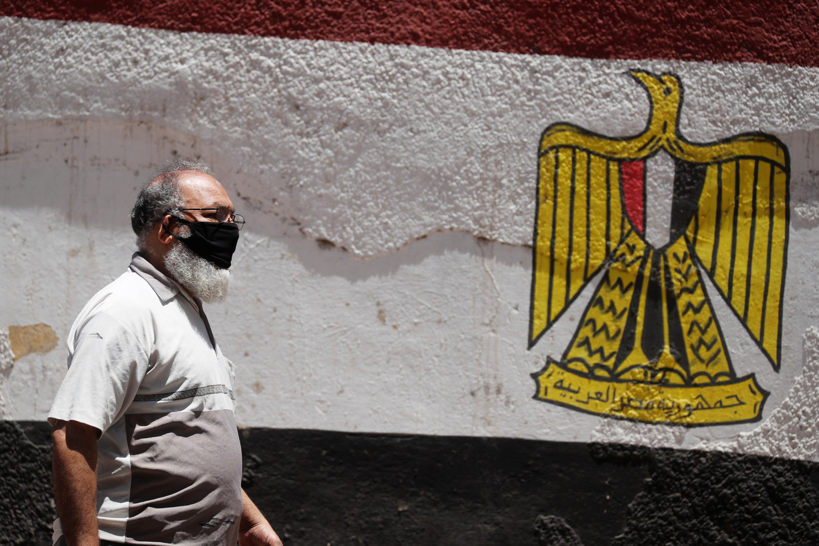 الحكومة المصرية تكشف حقيقة 
