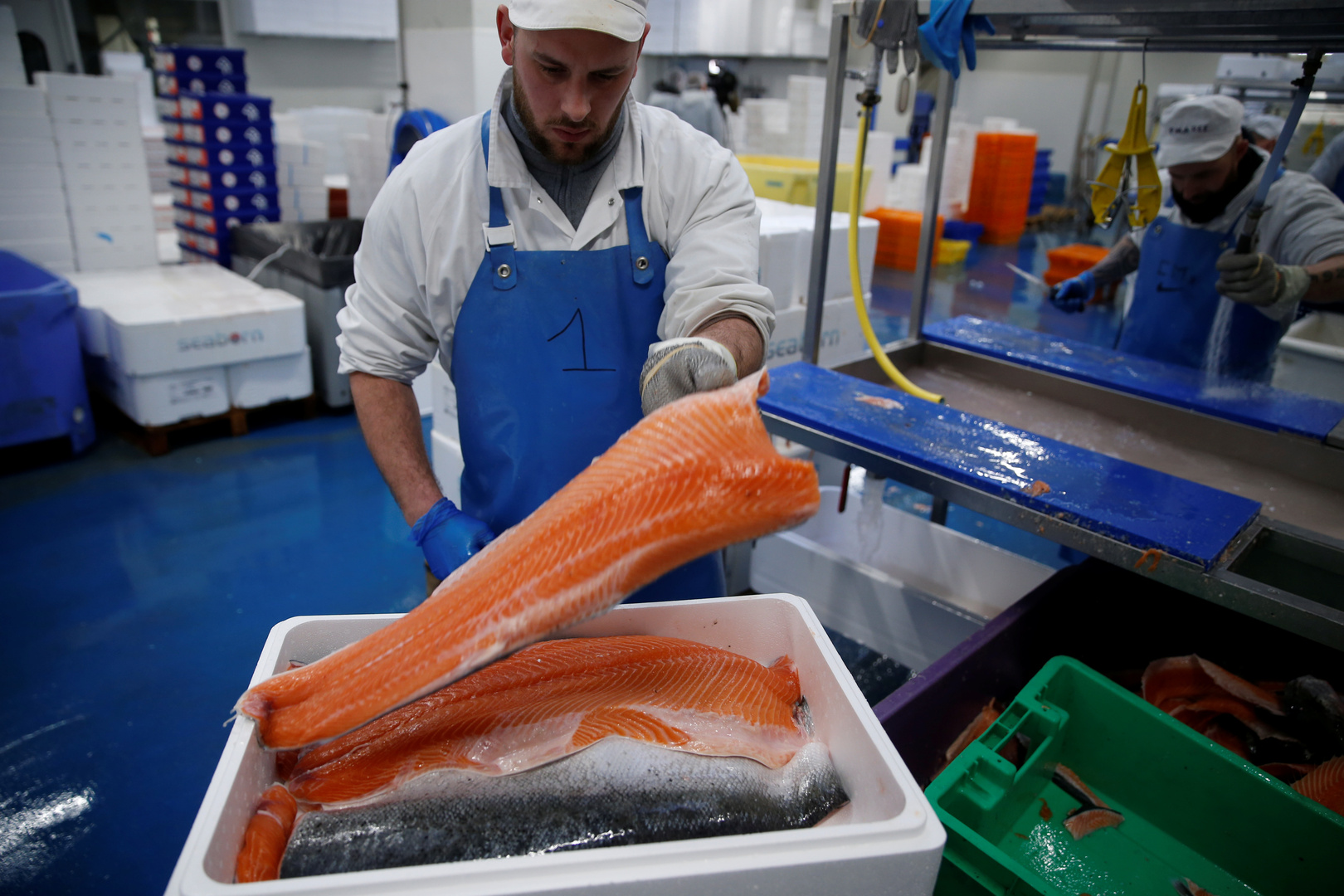 النرويج تصدر تقريرا بشأن سمك السلمون وعلاقته بفيروس كورونا