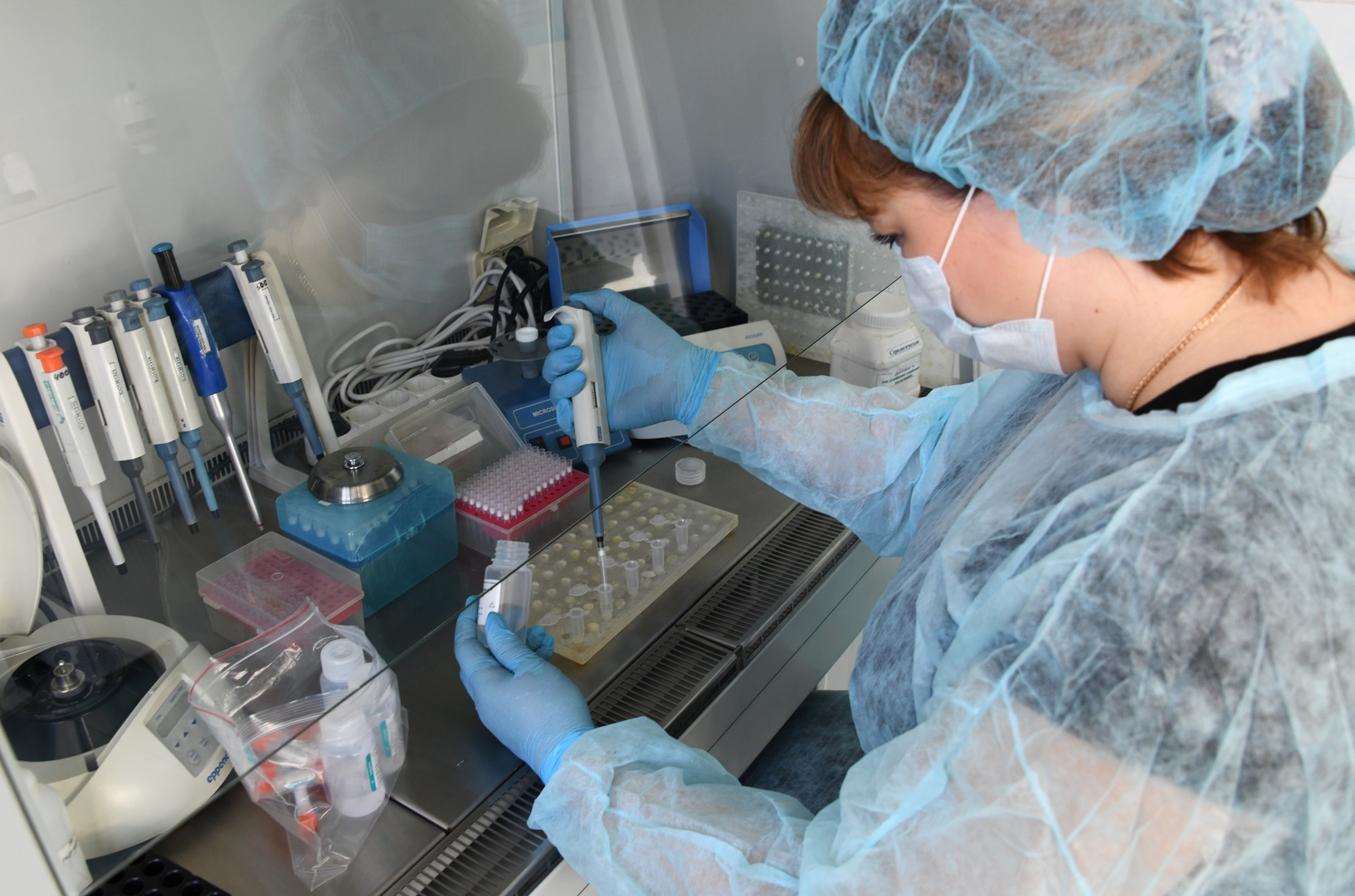 مركز علمي: اكتشاف أكثر من 100 سلالة من فيروس كورونا المستجد بروسيا