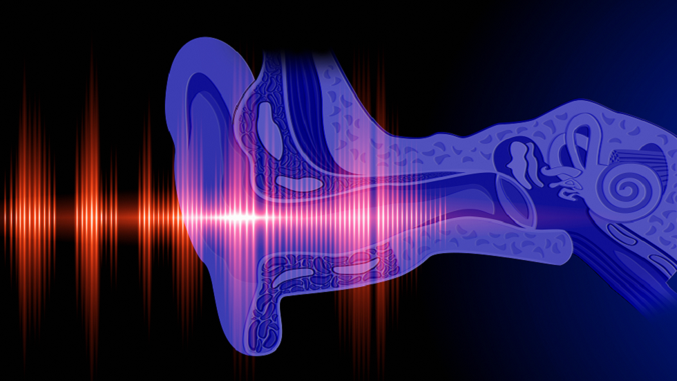 هيكل غريب في آذاننا الداخلية يكاد يكون غامضا لدى معظمنا