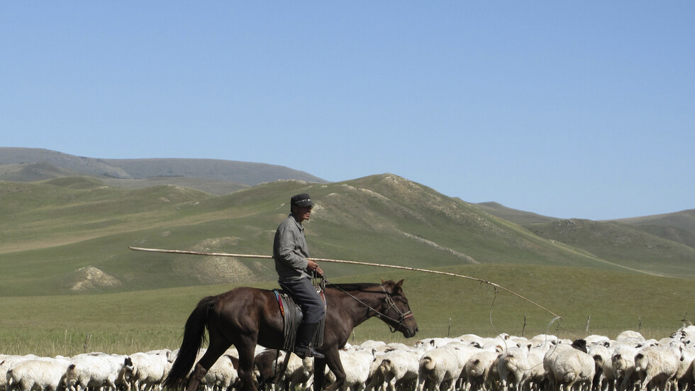 الصين تصدر تعليمات وقائية في ظل تفش محتمل للطاعون الدملي ورصد إصابة ثالثة في دولة مجاورة