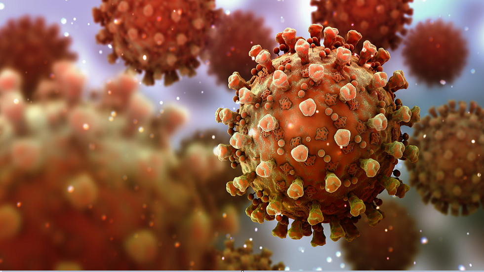 دراسة تزعم أن برودة الشتاء ستزيد من انتشار 