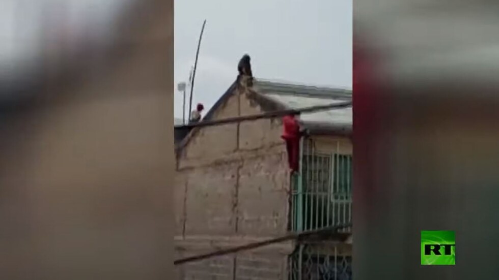 رجل يسقط من سقف مبنى بعد 