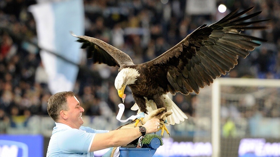 ساسولو يعمق جراح "نسور" لاتسيو.. فيديو