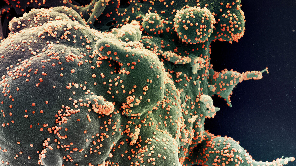 إدارة ترامب: ننوي بدء إنتاج لقاح ضد فيروس كورونا في غضون 4-6 أسابيع