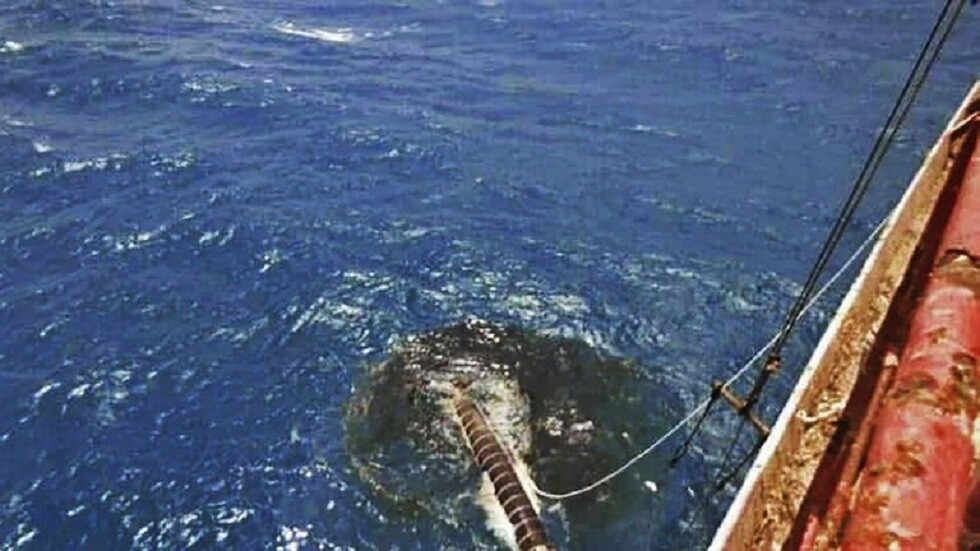 الحوثيون يحملون المجتمع الدولي المسؤولية عن كارثة ناقلة النفط "صافر"