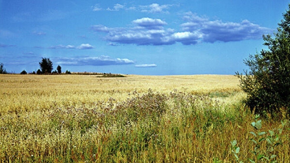 روسيا.. اختبار وحدة استمطار بتسخين الغيوم