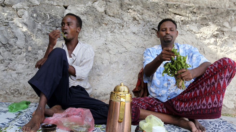 نقص "القات" يفاقم المشاكل الصحية في الصومال