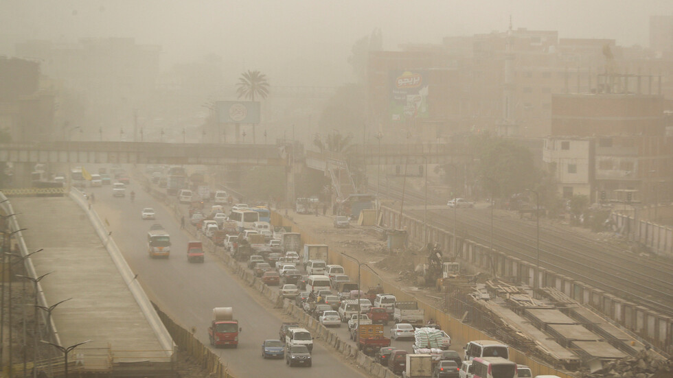 الكشف عن حقيقة ظهور كائن غريب شديد السمية في مصر وليبيا وتونس (صورة)