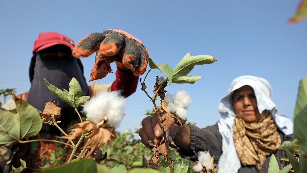 مصر تنتهي من تنفيذ مشروع ضخم لصناعات الغزل والنسيج