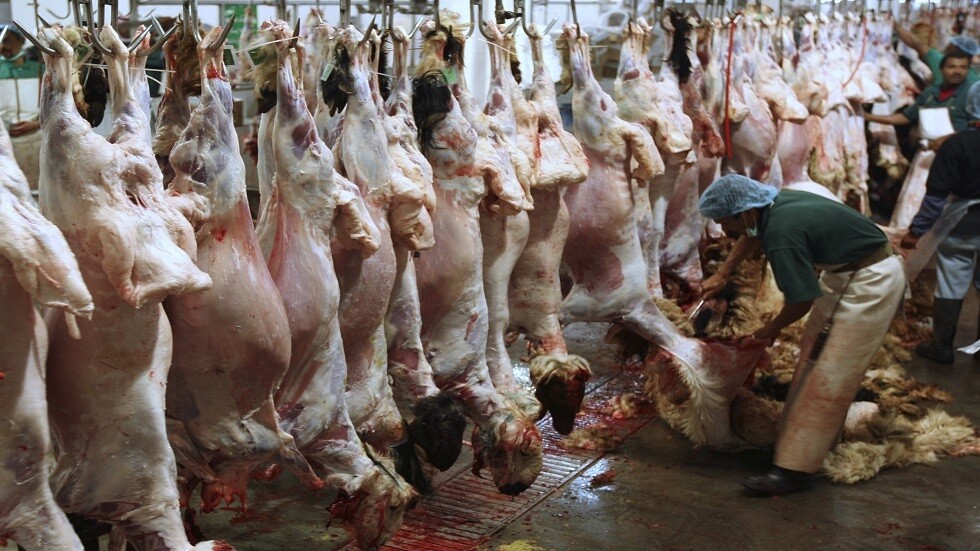 السعودية.. ابعدوا أطفالكم عن سواطير الأضاحي لسلامتهم