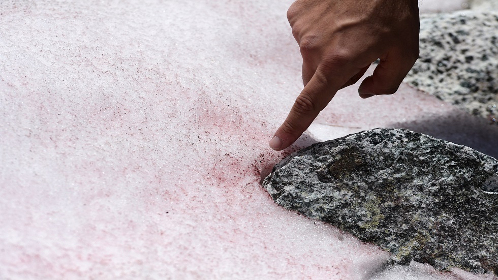العلماء يطلقون تحقيقا حول ظهور غامض لجليد وردي في جبال الألب