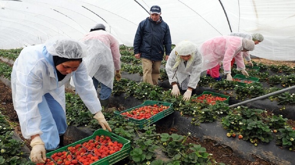 المغرب ينهي معاناة عاملات 