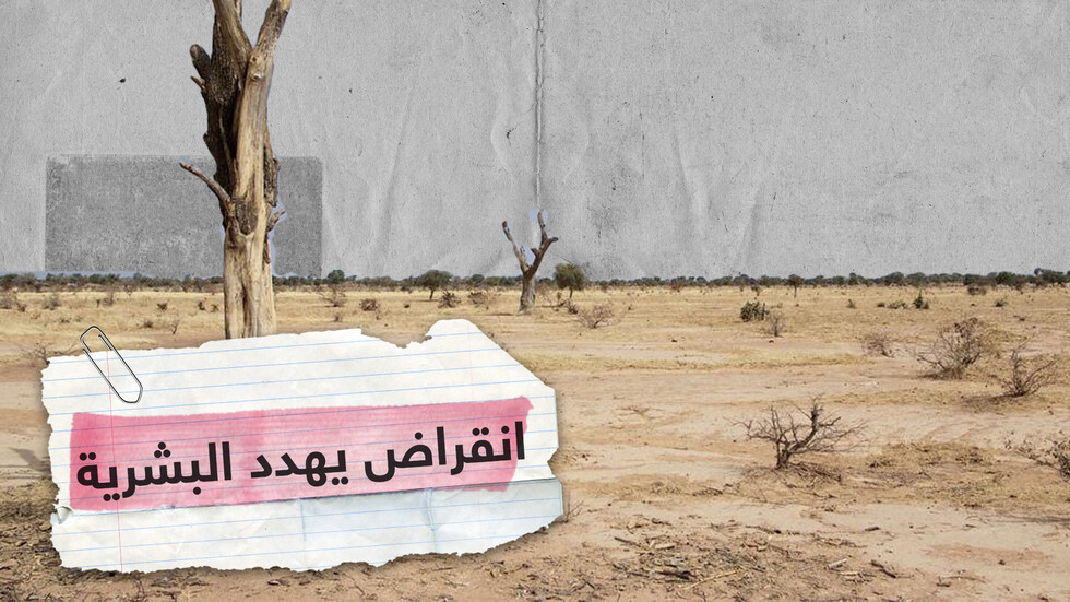 دراسة تربط بين إزالة الغابات و"نهاية الحضارة البشرية"