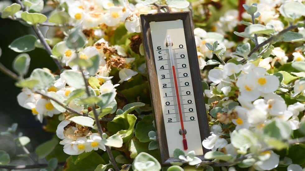 ما الذي يهدد أوروبا إلى جانب "كوفيد-19"؟