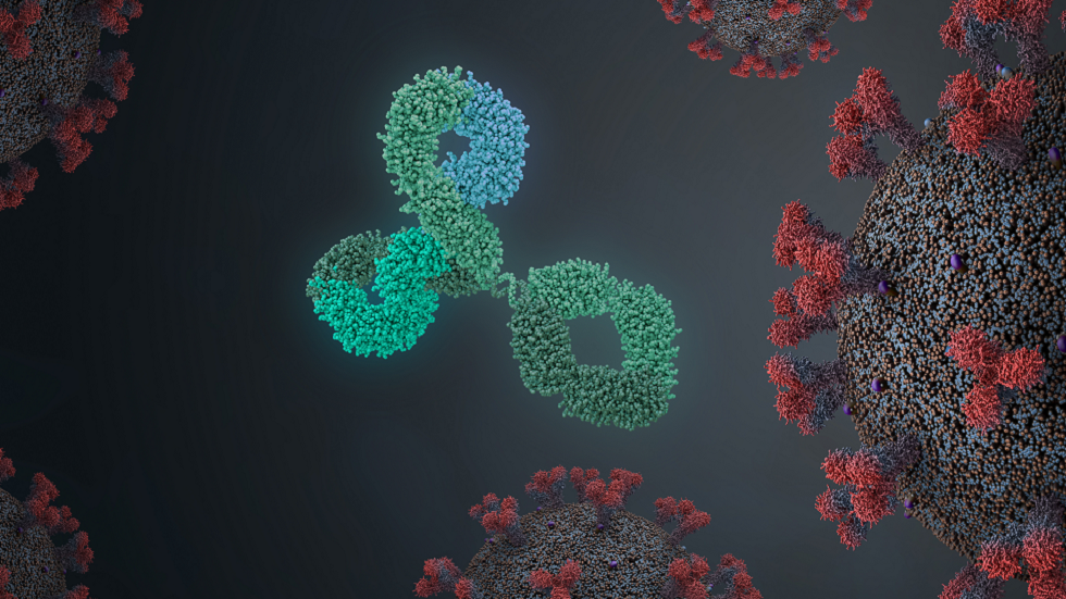 هل يختبئ كورونا في أجسامنا؟.. ما نعرفه عن كيفية تخفي الفيروسات في الدماغ والخصيتين!