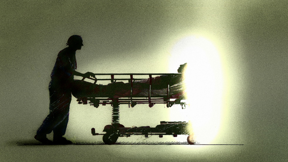 دراسة تكشف ما 