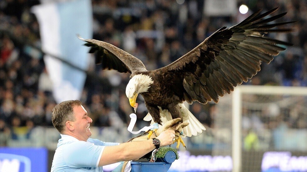 النجم الإسباني سيلفا يختار "النسور"