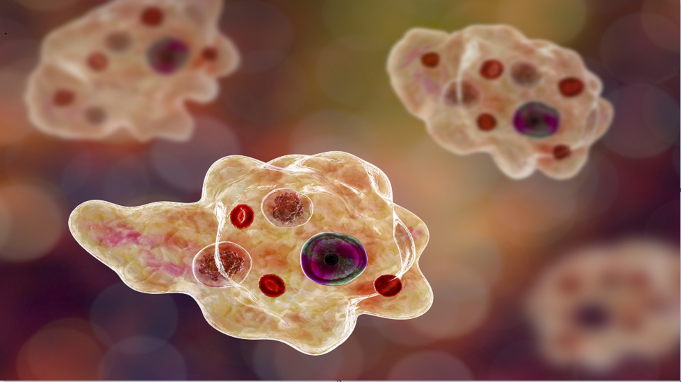 هل يمكن لأمراض اللثة أن تجعل فيروس كورونا أكثر فتكا؟