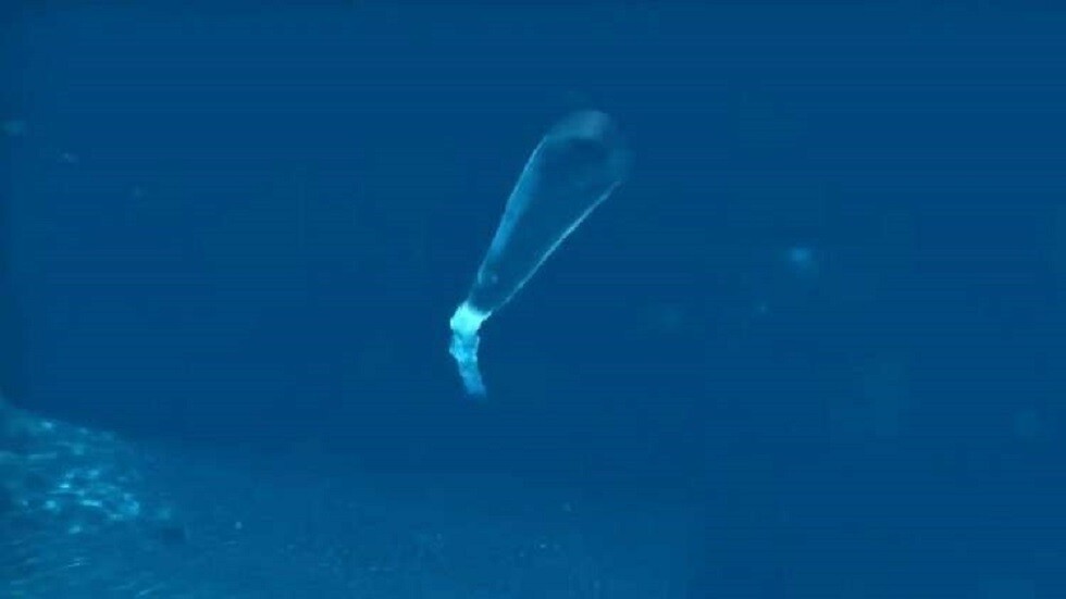 خبير روسي: طوربيد " بوسيدون" الاستراتيجي يستطيع تدمير بضع حاملات طائرات