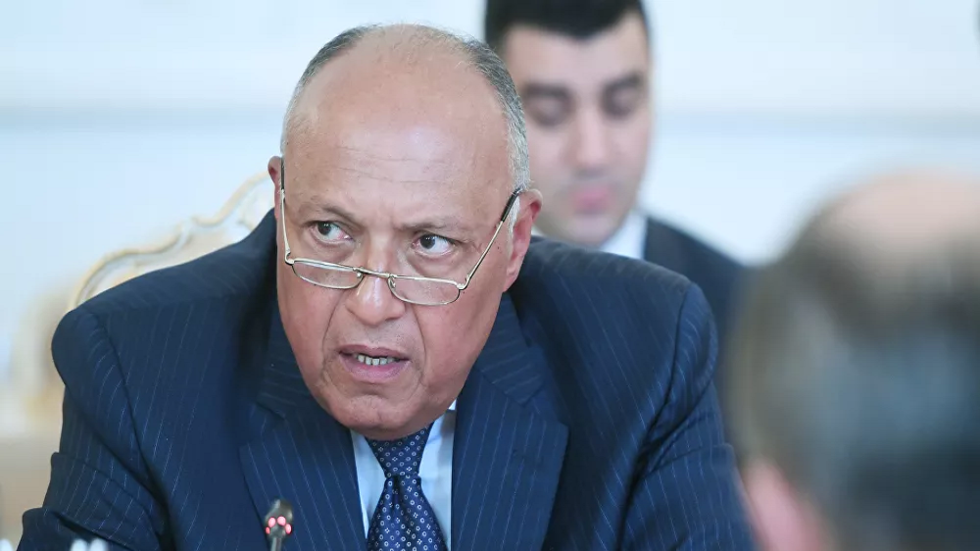 شكري: مصر ستكون سندا للبنان