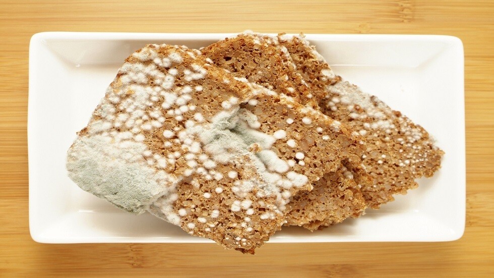 كيف نحمي أنفسنا من التسمم بالعفن؟