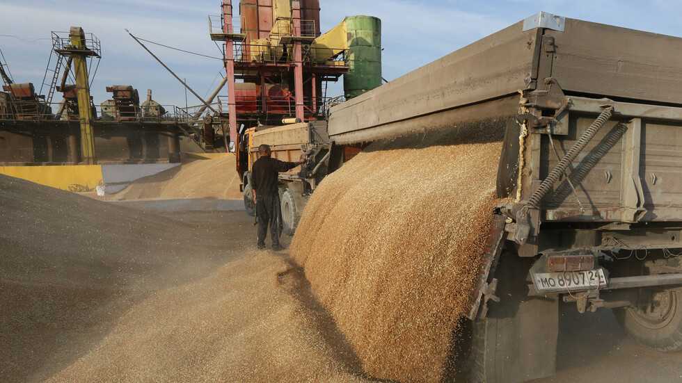 القمح الروسي يغمر مصر
