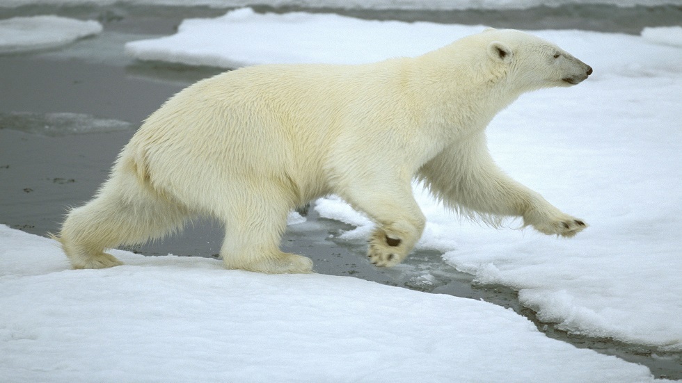 تسجيل بداية سريعة لكارثة مناخية في القطب الشمالي