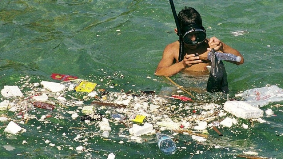 اكتشاف دقائق البلاستيك في المأكولات البحرية