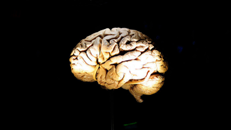 العلماء يثبتون قدرة SARS-CoV-2 على إصابة الدماغ البشري