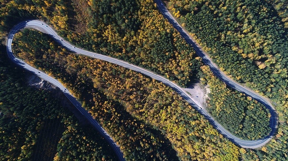 كشف الأسباب الرئيسية لموت غابات سيبيريا