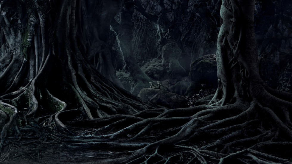 خبراء: النباتات قد تقود الضباط إلى الجثث والقبور غير المميزة!