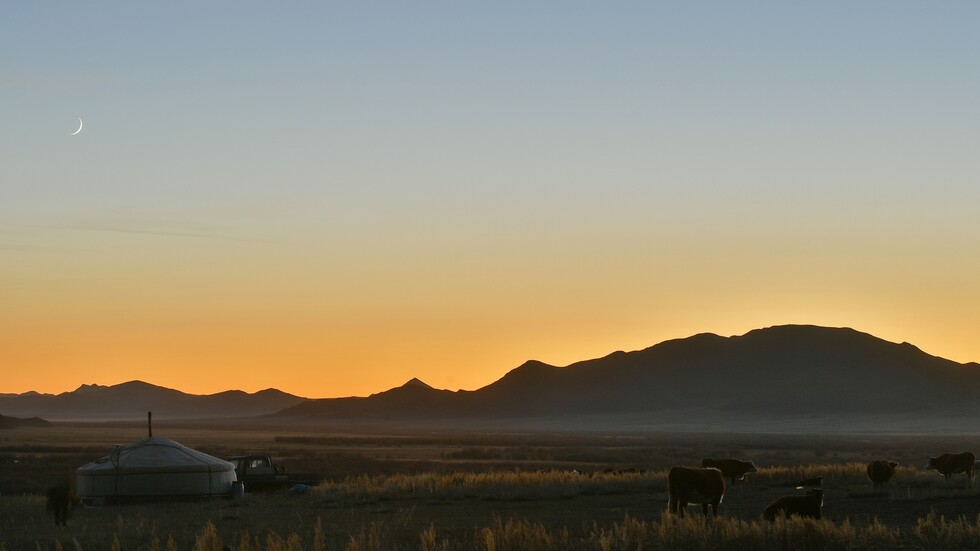 منغوليا.. ثالث وفاة جراء الطاعون الدبلي