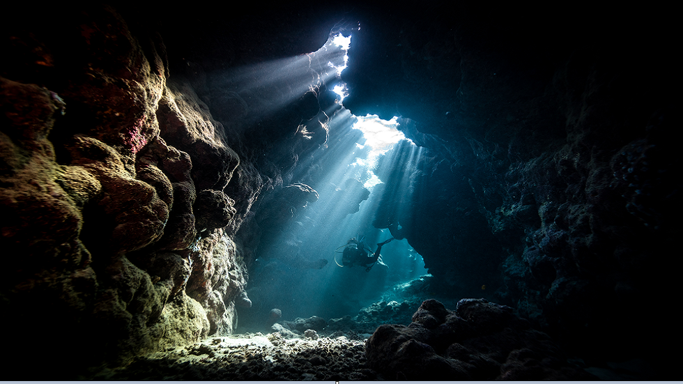 في مصادفة غريبة.. زوجان يكتشفان مخلوقات نادرة قيمتها آلاف الدولارات (صور)