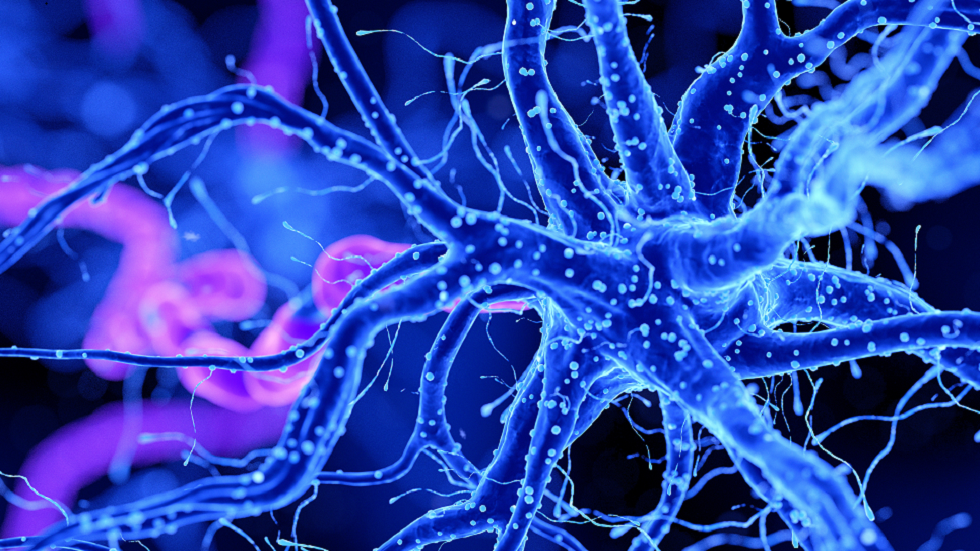 الفيروسات العملاقة قد تفسر التطور الغامض لجزء أساسي من خلايانا