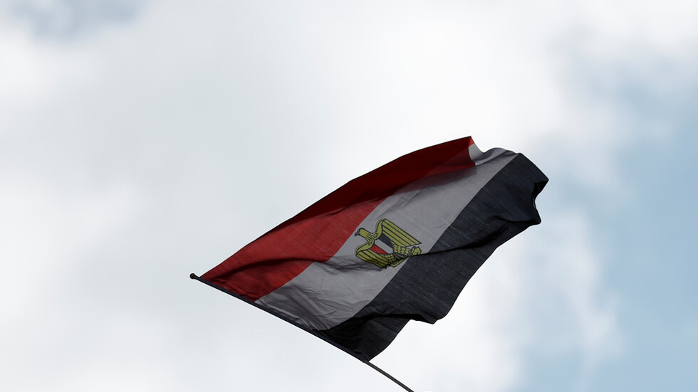 مصر.. جراحة لدجاجة سقطت من أعلى مبنى وتعرضت لكسور شديدة (صور)