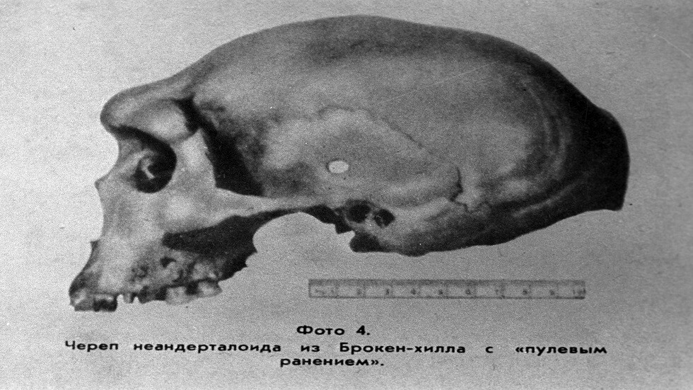 علماء الآثار يعثرون على سن لإنسان نياندرتال يقدر عمره بـ48 ألف عام