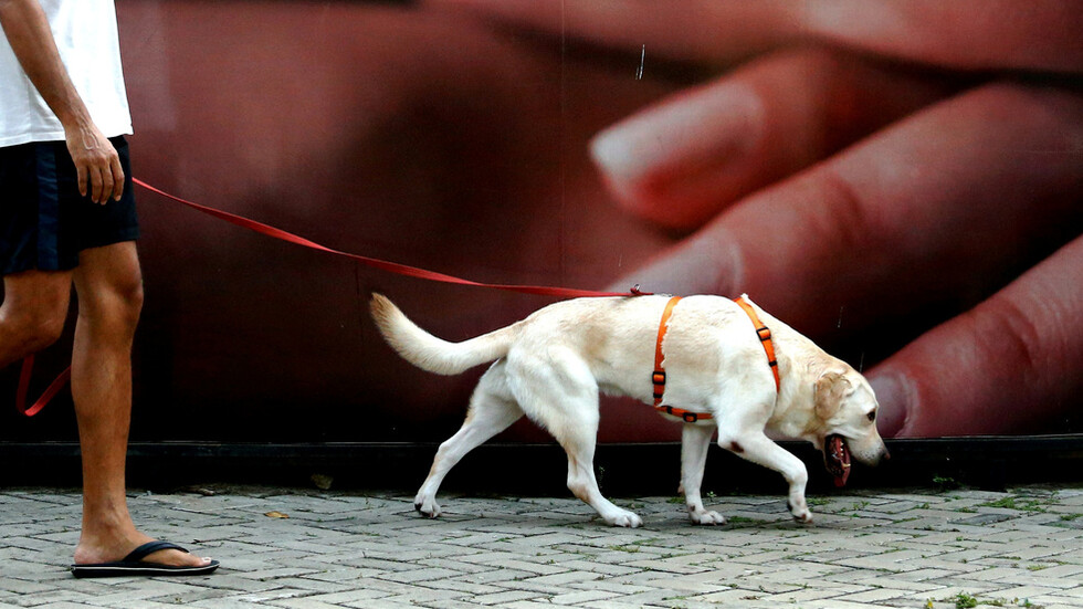 الغيرة تدفع طليق امرأة لارتكاب جريمة مرعبة في وضح النهار وعلى قارعة الطريق