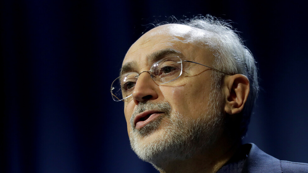 صالحي: موقف مجلس الأمن ووكالة الطاقة الذرية يبعث على الأمل في إنقاذ الاتفاق النووي