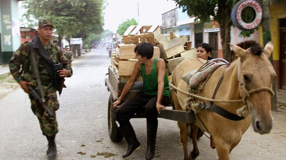 فضيحة في كولومبيا.. إطعام تلاميذ المدارس وجبات من لحوم الخيول والحمير