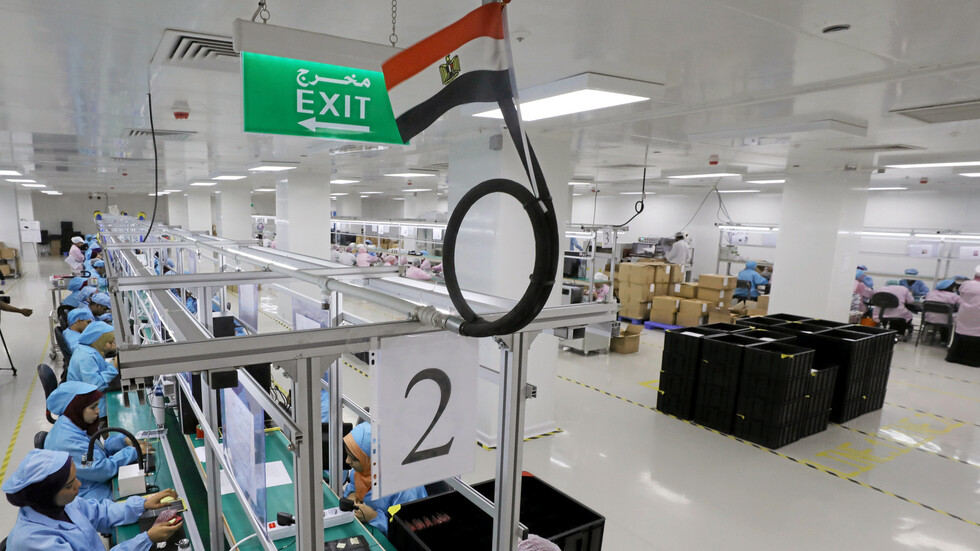 مصر تستعد لإنشاء شركة مساهمة جديدة مع السودان