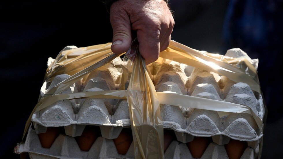 لبنان.. "البيض انقطع"