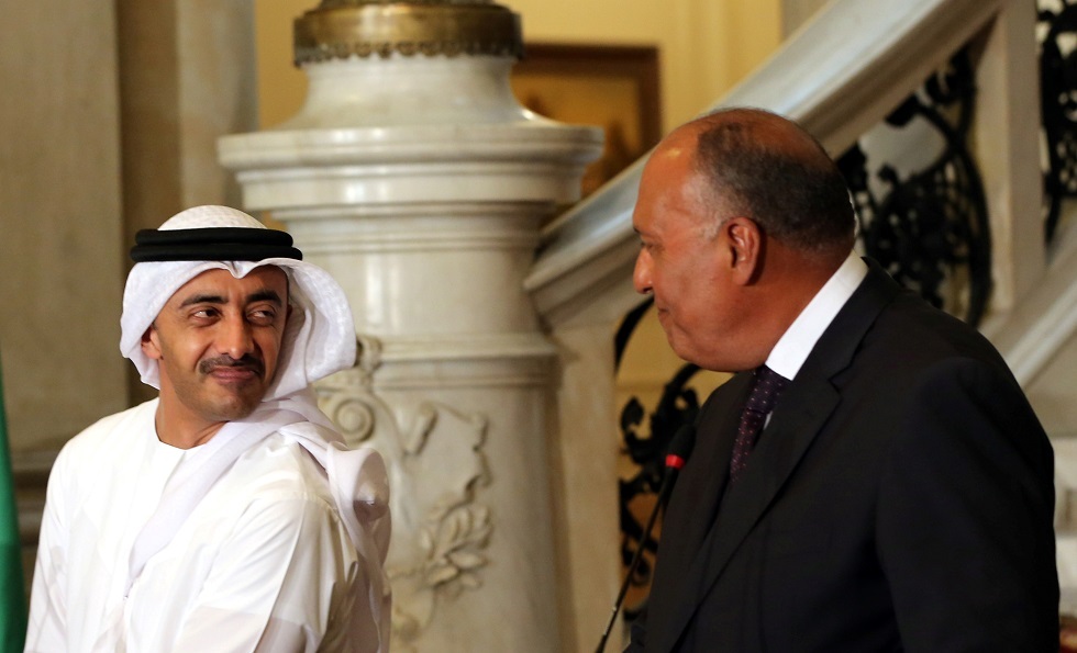 وزير الخارجية الإماراتي يبحث الوضع في شرق المتوسط مع نظيره المصري