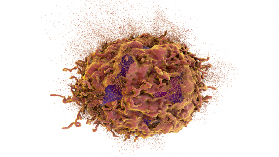 اختراق كبير في السرطان.. اكتشاف ما قد يوقف انتشار الأورام الخبيثة!