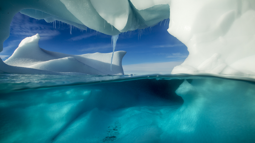 اختراق في أنتاركتيكا: اكتشاف مخلوقات غريبة 