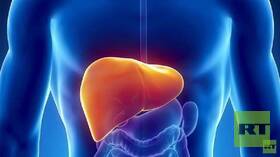 مواد غذائية مضرة بالكبد