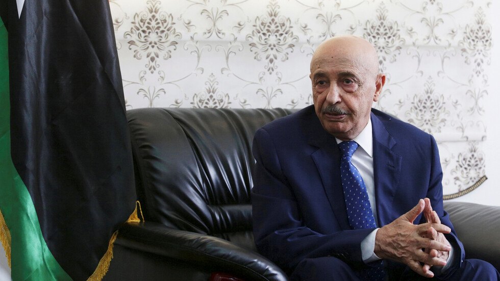 عقيلة صالح في مصر للقاء السفير الأمريكي