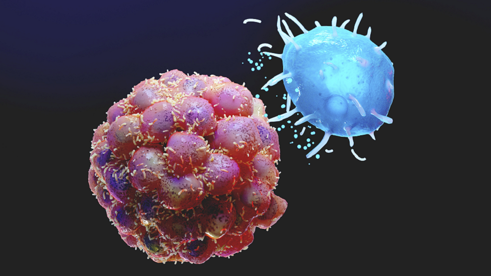 نوع شائع من الخضار يمكنه الحد من خطر الإصابة بسرطانات معينة!